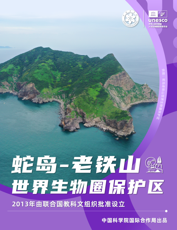 黄A无码片内射无码视频