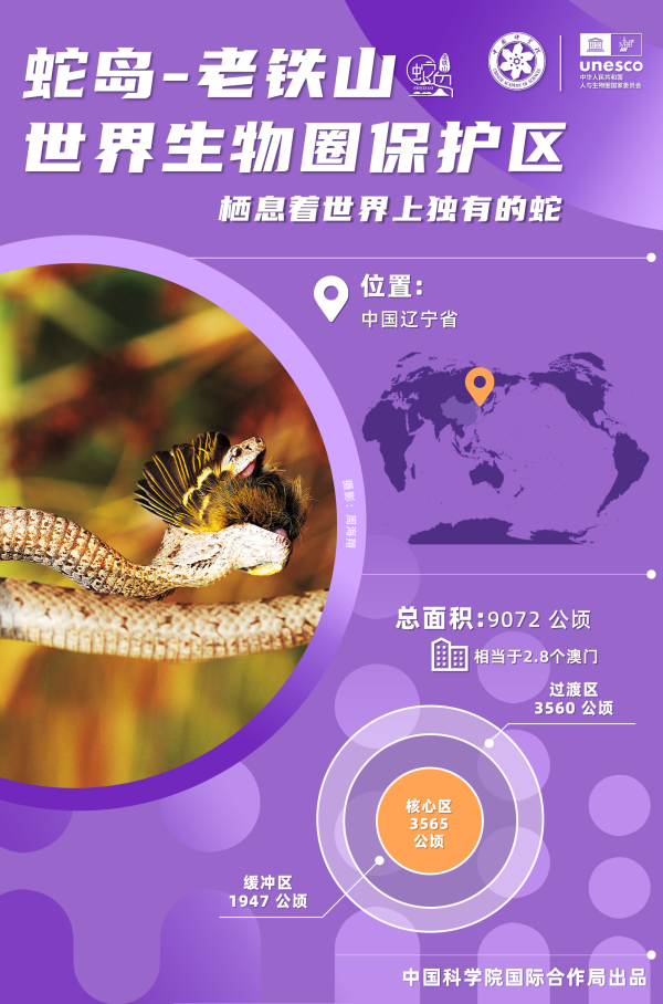 黄A无码片内射无码视频