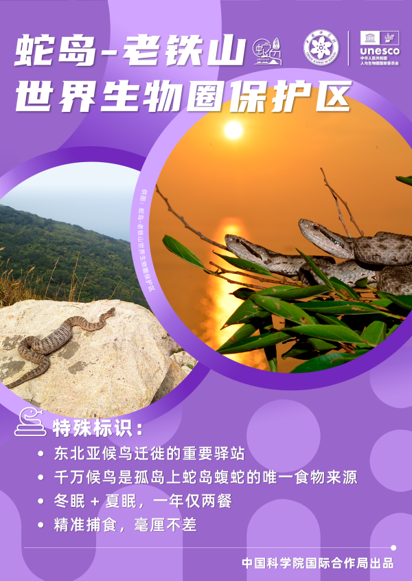 黄A无码片内射无码视频