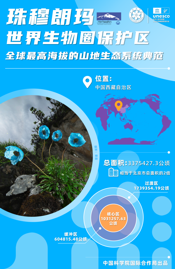 黄A无码片内射无码视频