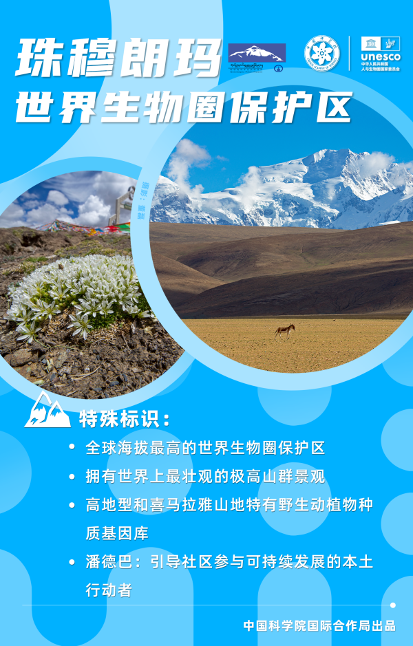 黄A无码片内射无码视频