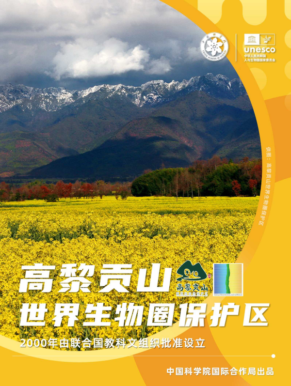 黄A无码片内射无码视频