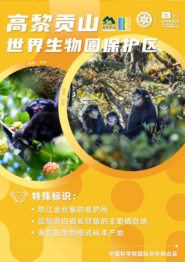 黄A无码片内射无码视频