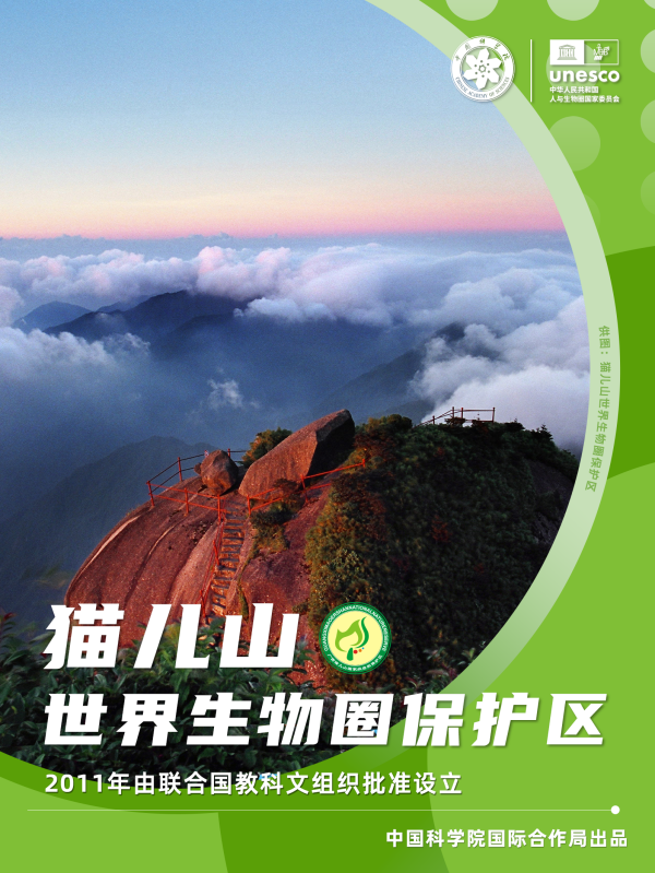黄A无码片内射无码视频
