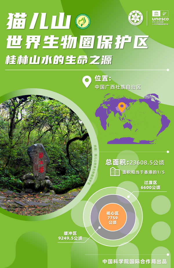 黄A无码片内射无码视频