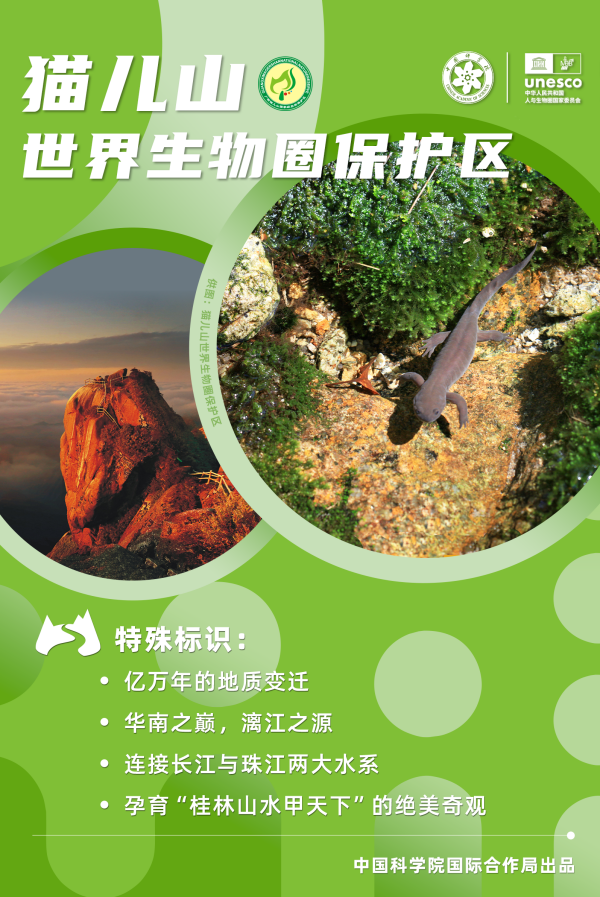 黄A无码片内射无码视频