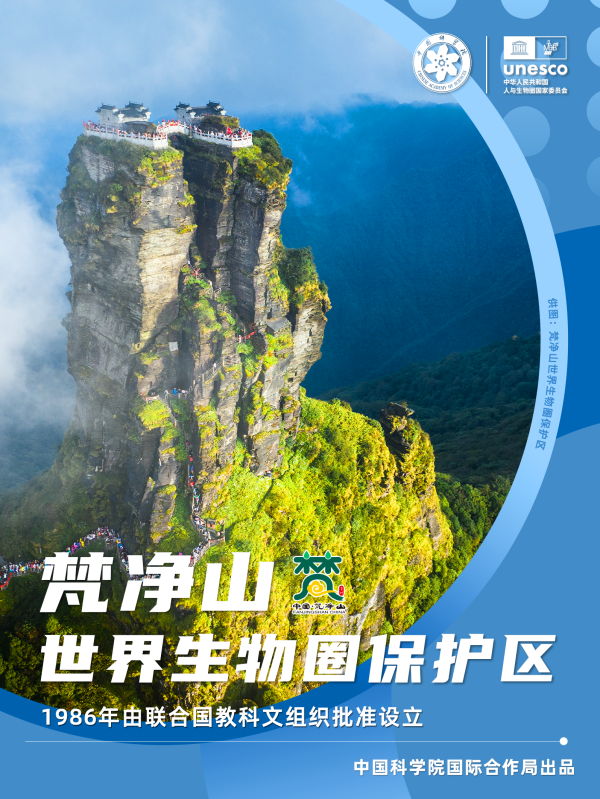 黄A无码片内射无码视频