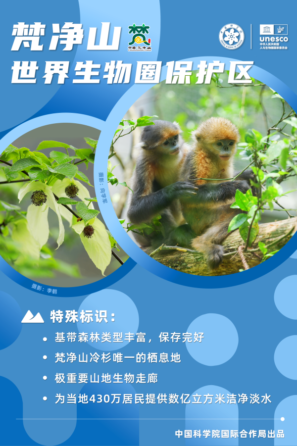 黄A无码片内射无码视频