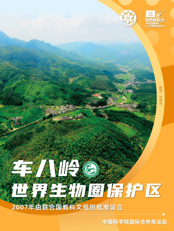 黄A无码片内射无码视频