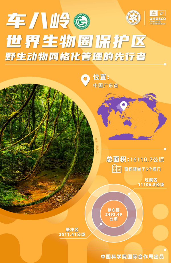 黄A无码片内射无码视频