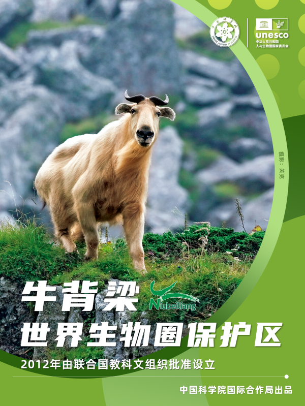 黄A无码片内射无码视频