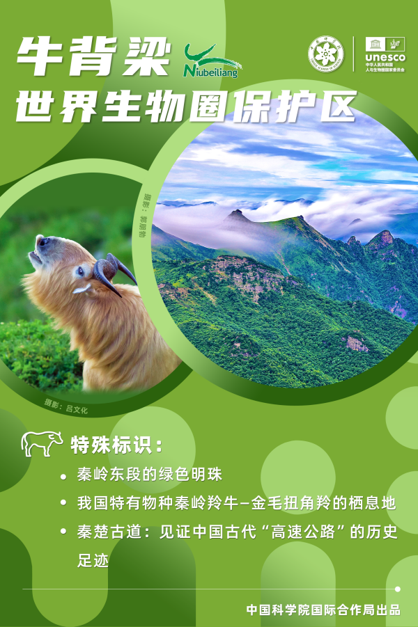 黄A无码片内射无码视频