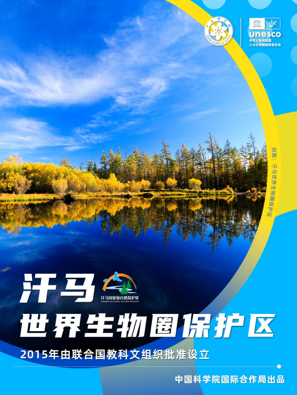 黄A无码片内射无码视频