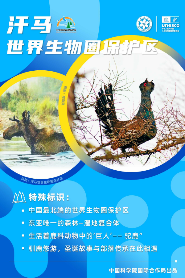 黄A无码片内射无码视频