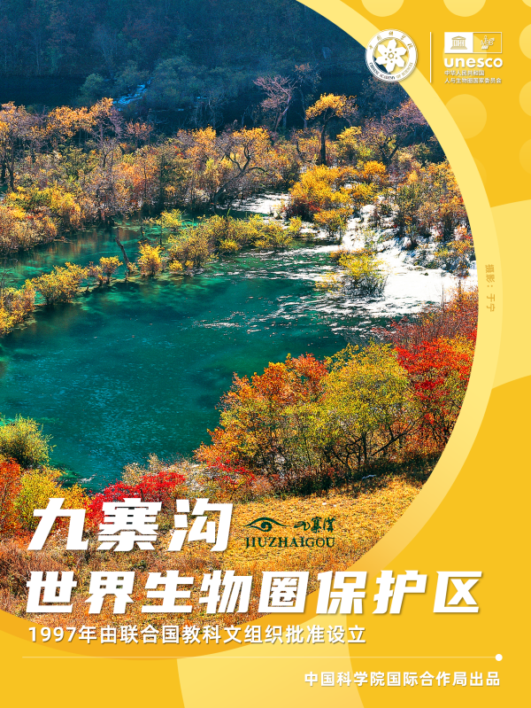 黄A无码片内射无码视频