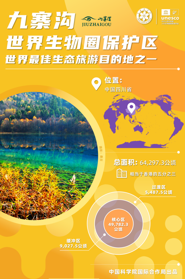 黄A无码片内射无码视频