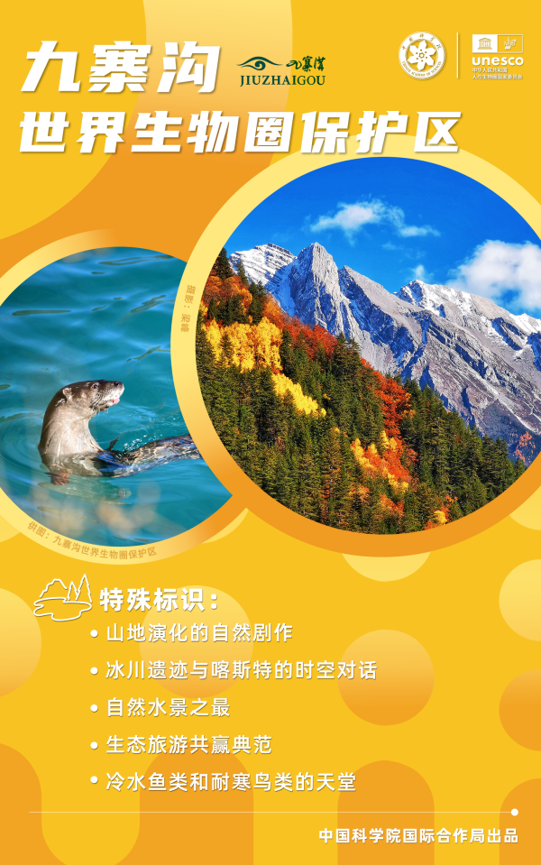 黄A无码片内射无码视频
