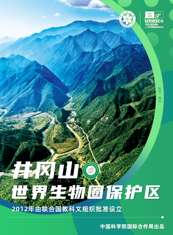 黄A无码片内射无码视频