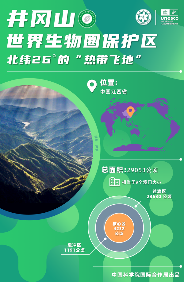 黄A无码片内射无码视频