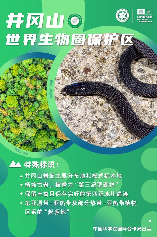 黄A无码片内射无码视频