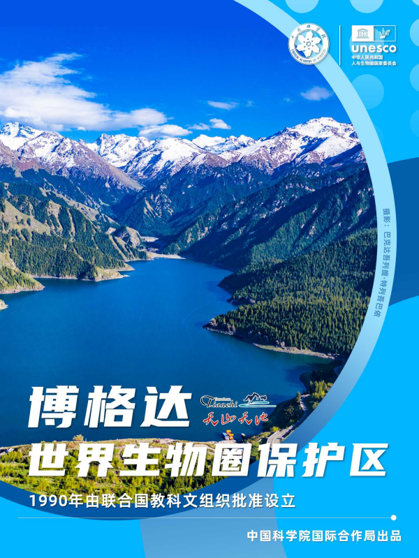 黄A无码片内射无码视频