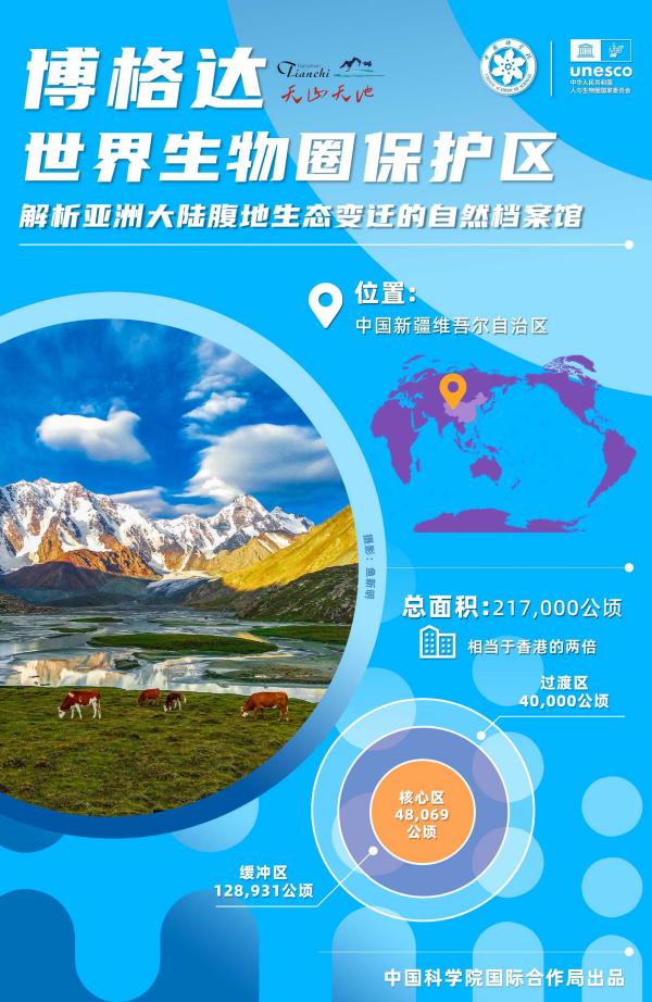 黄A无码片内射无码视频