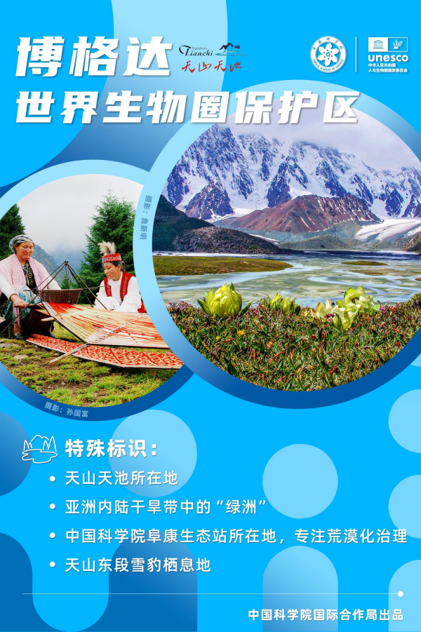 黄A无码片内射无码视频