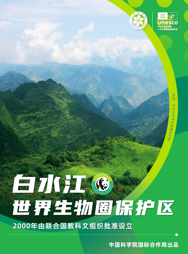 黄A无码片内射无码视频