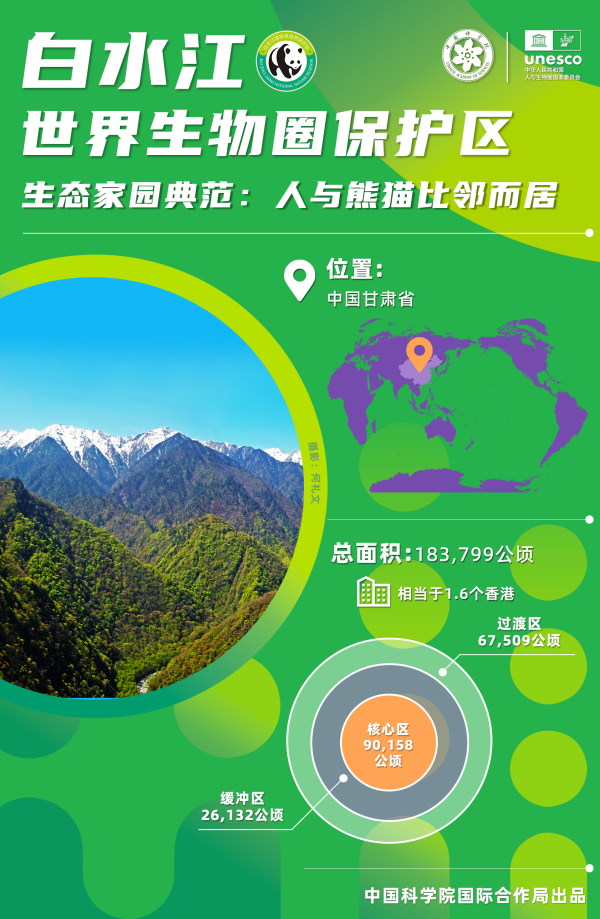 黄A无码片内射无码视频