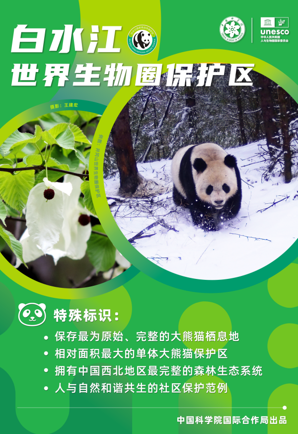 黄A无码片内射无码视频