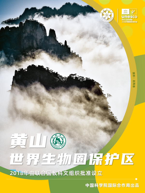 黄A无码片内射无码视频