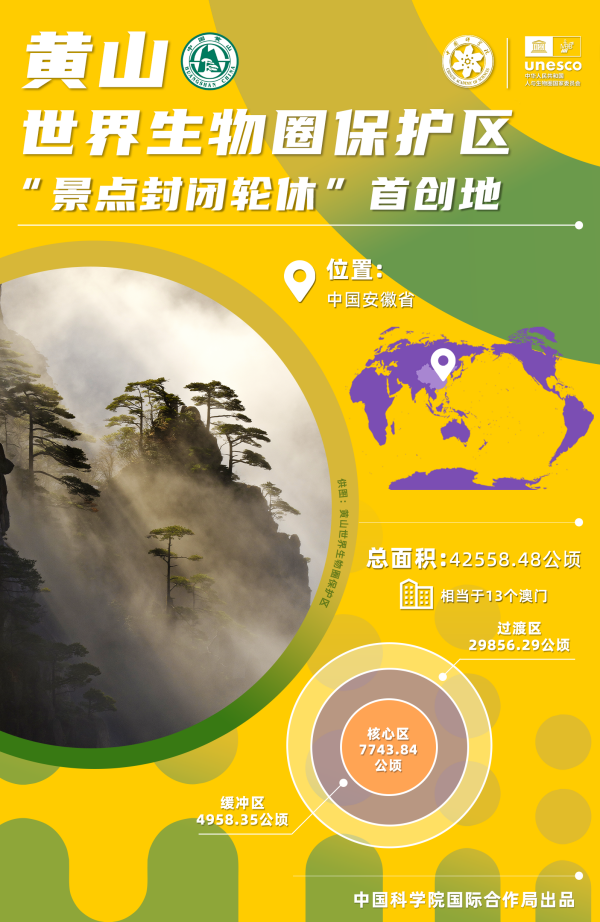 黄A无码片内射无码视频