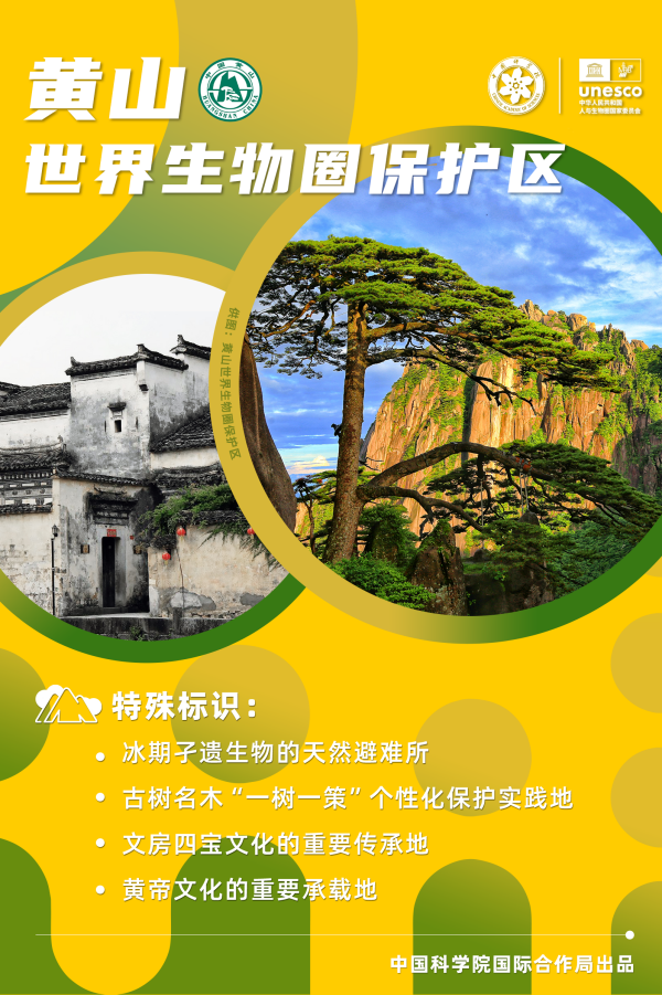 黄A无码片内射无码视频