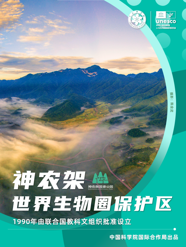 黄A无码片内射无码视频