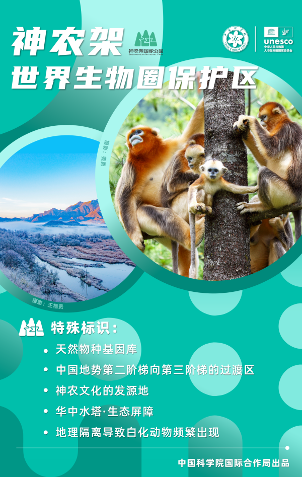 黄A无码片内射无码视频