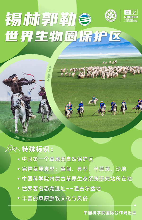 黄A无码片内射无码视频