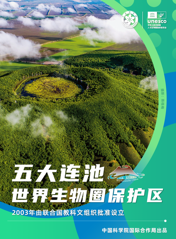 黄A无码片内射无码视频