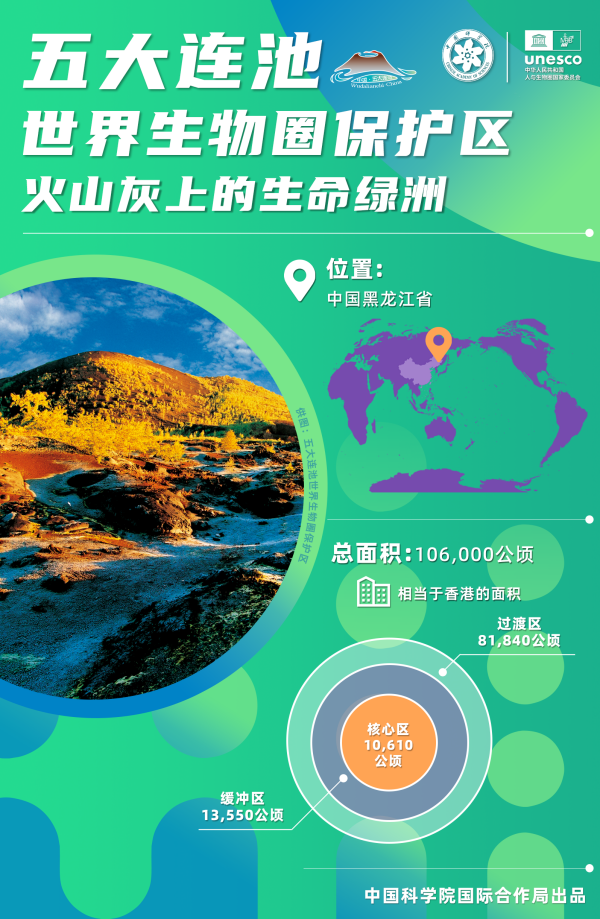 黄A无码片内射无码视频