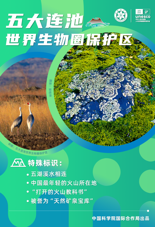 黄A无码片内射无码视频
