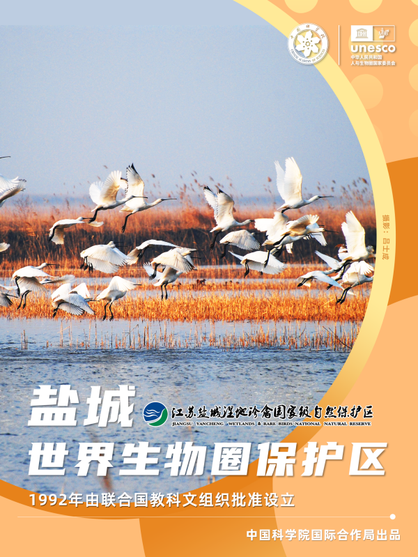 黄A无码片内射无码视频