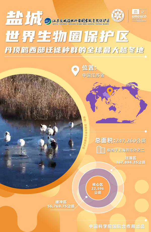 黄A无码片内射无码视频