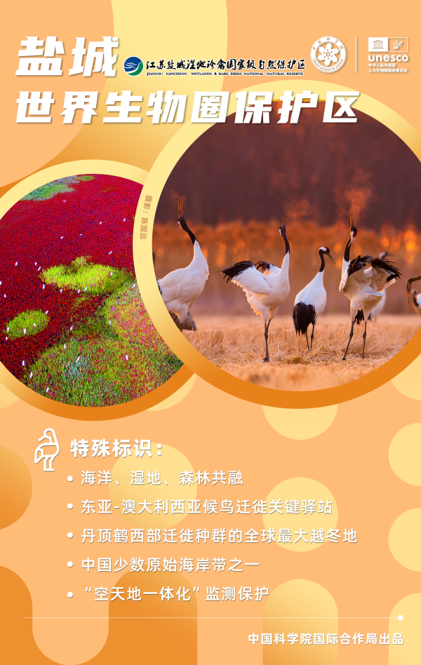 黄A无码片内射无码视频