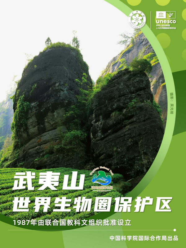 黄A无码片内射无码视频