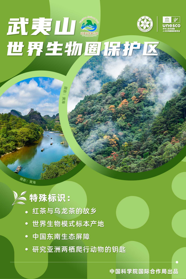 黄A无码片内射无码视频