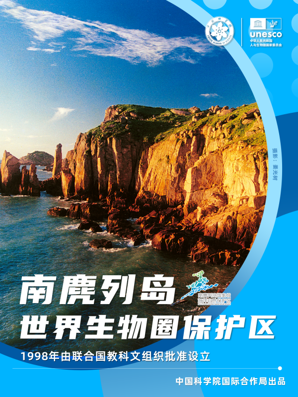黄A无码片内射无码视频