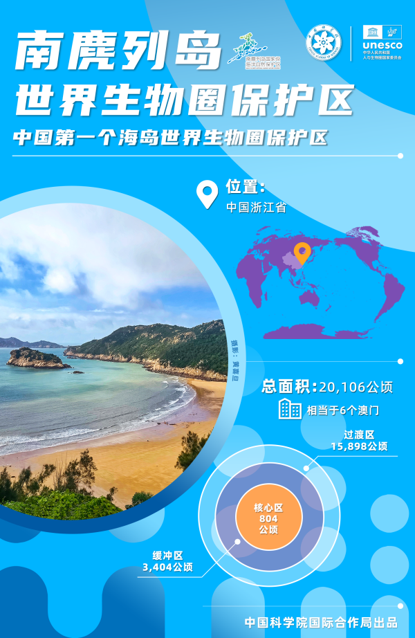 黄A无码片内射无码视频