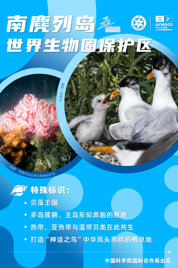 黄A无码片内射无码视频