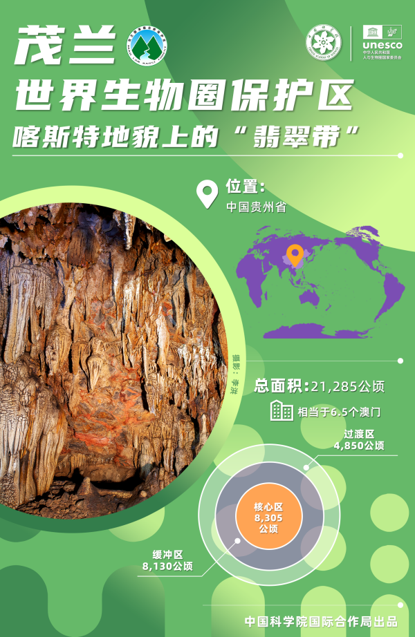 黄A无码片内射无码视频