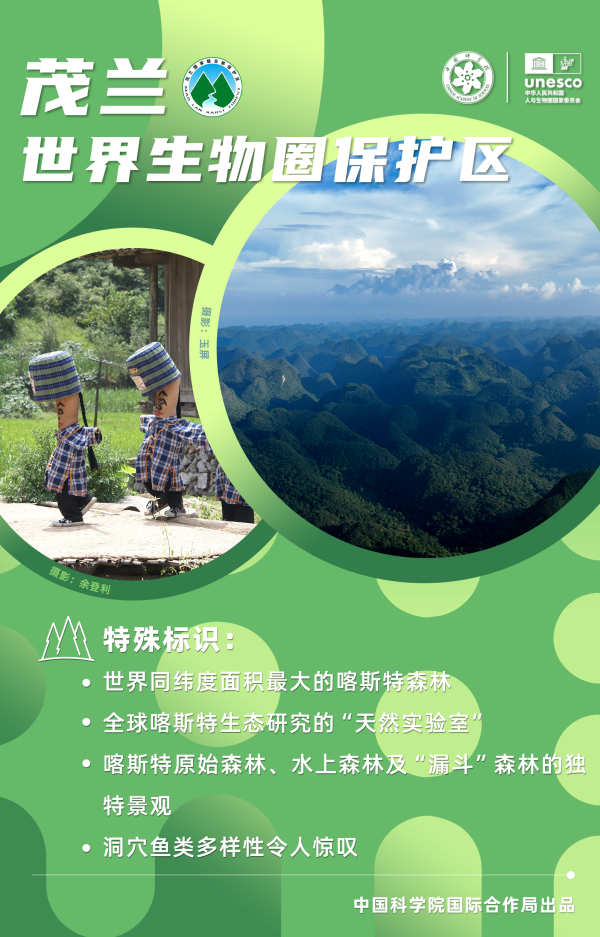 黄A无码片内射无码视频