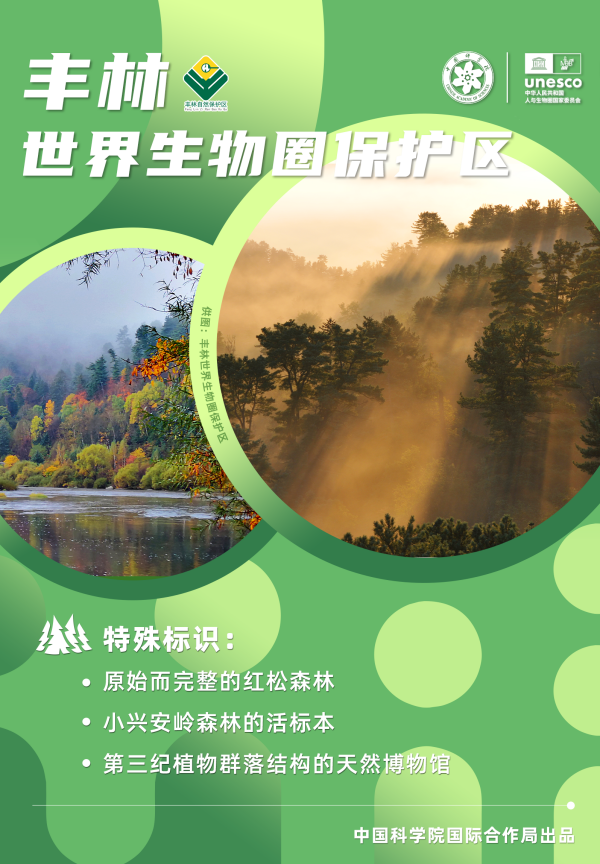 黄A无码片内射无码视频